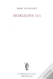 Capa do artigo Horizon 111