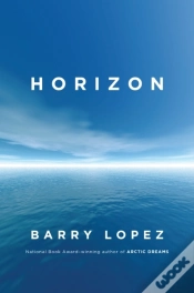 Capa do artigo Horizon