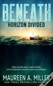 Capa do artigo Horizon Divided