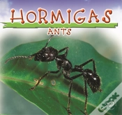 Capa do artigo Hormigas