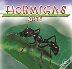 Capa do artigo Hormigas