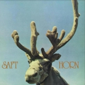 Capa do artigo Horn - Vinil