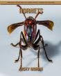 Hornets - Preview