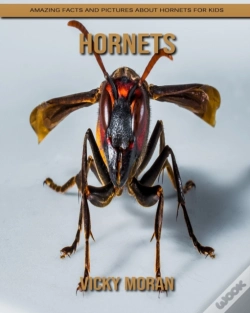 Capa do artigo Hornets