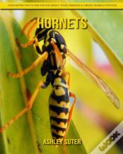 Hornets