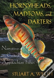 Capa do artigo Hornyheads, Madtoms, And Darters