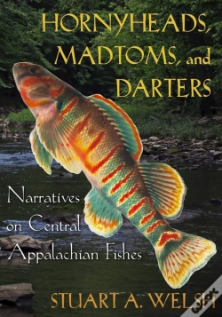 Capa do artigo Hornyheads, Madtoms, And Darters