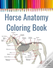 Horse Anatomy Coloring Book