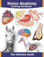 Horse Anatomy Coloring Workbook - Preview