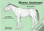 Capa do artigo Horse Anatomy