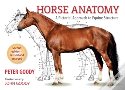 Capa do artigo Horse Anatomy