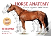 Capa do artigo Horse Anatomy