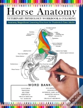 Horse Anatomy Veterinary Physiology Workbook And Coloring | Anatomy Magnificent Learning Structure For Students & Even Adults