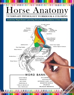 Capa do artigo Horse Anatomy Veterinary Physiology Workbook And Coloring | Anatomy Magnificent Learning Structure For Students & Even Adults