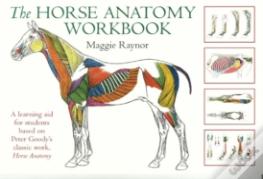 Horse Anatomy Workbook