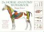 Horse Anatomy Workbook - Preview