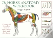 Capa do artigo Horse Anatomy Workbook