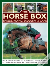 Capa do artigo Horse Box: Breeds, Riding, Saddlery & Care