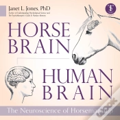 Capa do artigo Horse Brain, Human Brain