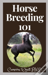 Horse Breeding 101