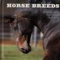 Horse Breeds - Preview