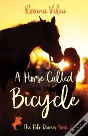 Capa do artigo Horse Called Bicycle
