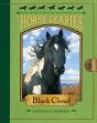 Horse Diaries #8: Black Cloud - Preview