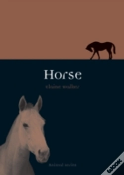 Capa do artigo Horse
