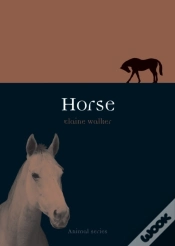 Capa do artigo Horse