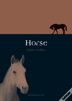 Capa do artigo Horse