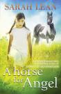 Horse For Angel - Preview