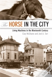 Capa do artigo Horse In The City