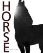 Horse - Preview