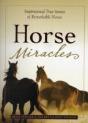 Horse Miracles - Preview