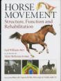 Horse Movement - Preview