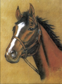Horse Notebook - Preview