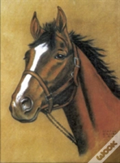 Capa do artigo Horse Notebook
