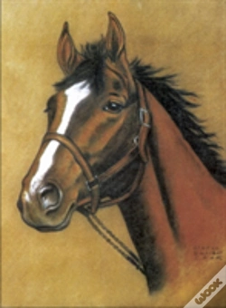 Capa do artigo Horse Notebook