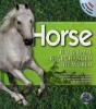Horse - Preview