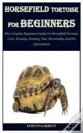 Horsefield Tortoise For Beginners