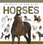 Horses - Preview