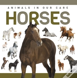 Capa do artigo Horses