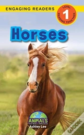 Capa do artigo Horses