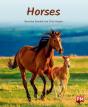 Horses - Preview