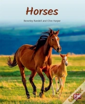 Capa do artigo Horses