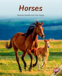 Capa do artigo Horses