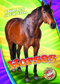 Horses - Preview