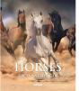Horses - Preview