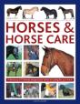 Horses & Horse Care - Preview