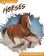 Horses - Preview